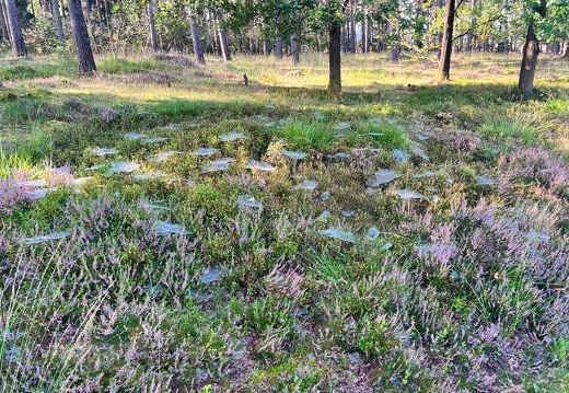 23-09-11 10-27-15 6657